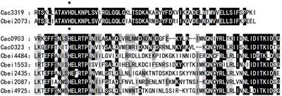 Metabolic Engineering of Histidine Kinases in Clostridium beijerinckii for Enhanced Butanol Production